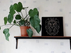 Апартаменты у Библиотеки Аалто Красной Площади и Центрального Парка