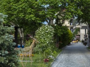 Отель Chveni Ezo Boutique Hotel