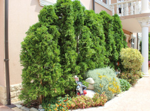 Гостевой дом Dolce Gusto