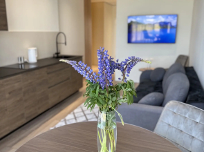 Апартаменты в Живописном Зеленоградске