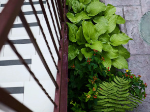 Гостевой дом Дарья+