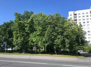 Апартаменты Семейные