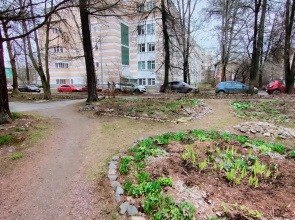 Апартаменты в центре города