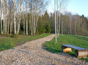 Гостевые дома Усадьба скульптора Эрьзи с фермой