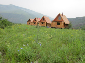 Uruumiin Gol Ecotour Camp Hotel