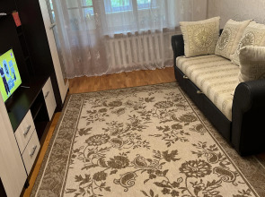 Апартаменты 3-х комнатная квартира в удобном районе