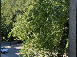 Квартира Уютная квартира в центре Светлогорска