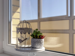 Студия Живи в Песочном Садовая 81