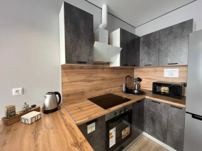 Апартаменты двухкомнатные с видом на Дон