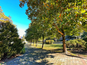 Апартаменты в Ботаническом Саду 7 Минут до Моря