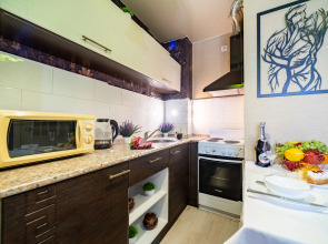 Квартира Райдас на Зеленой 23