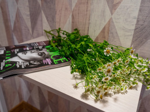 Апартаменты Cozy Evening