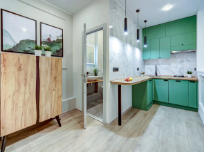 Апартаменты Ingria Fontanka