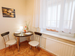 Апартаменты 9 ночей на Чкалова 48