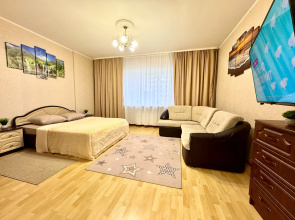 Prostornaya Dvukhomnatniye Ryadom S Rekoy Volgoy I SK MTL-Arena (ul. Sov. Armii, 240b) Apartments