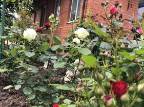 Гостевой дом Волшебный сад