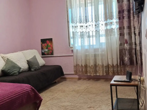 Квартира Румянцева 24