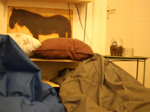 Хостел Moosica