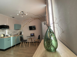 Studio apartment with two Windows in the city center near Udgu, Arena stadium, Zenit
