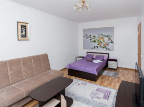 Апартаменты на Емельянова 35А (4)