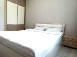 2 Komn Kvartira V Tsentre Kyzyla Flat
