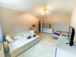 Uyutnaya Kvartira Vozle Sheremetyevo Apartments