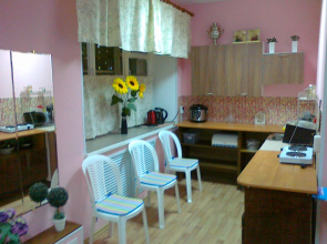 S Druzyami Hostel