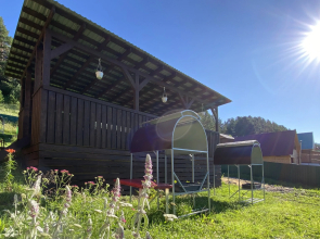 Гостевой дом Гостевой Двор Булавкиных «На Телецком»