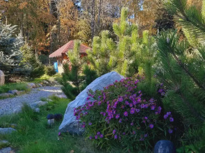 Гостевой дом с выходом в лес