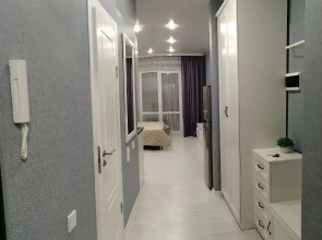 Квартира Студия на Колмовской Набережной 71Б