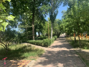 Гостевой дом Сокол