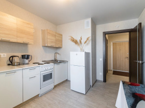 Апартаменты на Револиционной