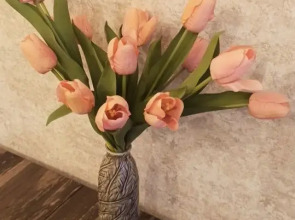 Квартира в самом центре Твери