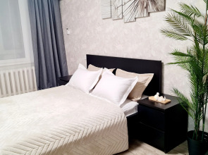 Квартира  Лофт около аквапарка