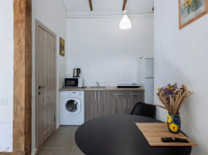 Апартаменты Студия Лофт