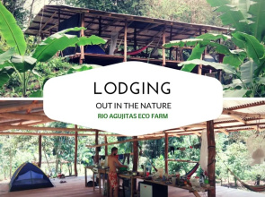 Rio Agujitas Eco Farm and Tours Camping