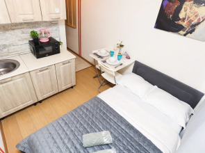 Апартаменты Рощинская 109/2