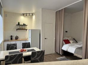 Апартаменты Студия у Кинотеатра Спартак