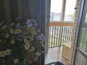 Квартира Студия с видом на город