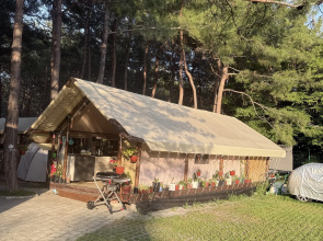 Кемпинг Под Соснами