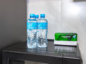 Квартира Skyline Loft