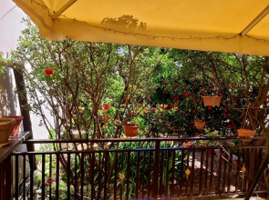 Гостевой дом Чайка