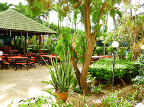 Отель Romeo Palace