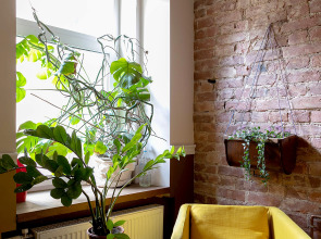 Апартаменты Element 2