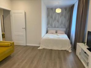 Квартира Шикарная в центре Тулы