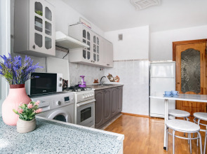 Квартира ПосуткаРу Краснознам 59 ТЦ Вершина Плаза и Центральный стадион