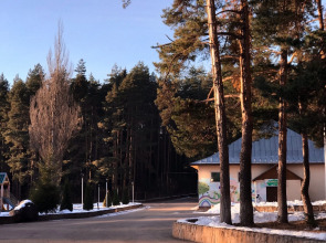 Отель Лесная Сказка