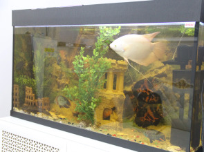 Гостевой дом АБ