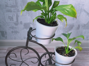 Апартаменты На Луначарского 14 Плес