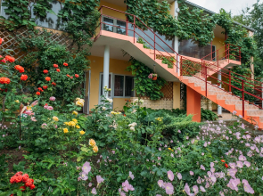 Nina Guest house